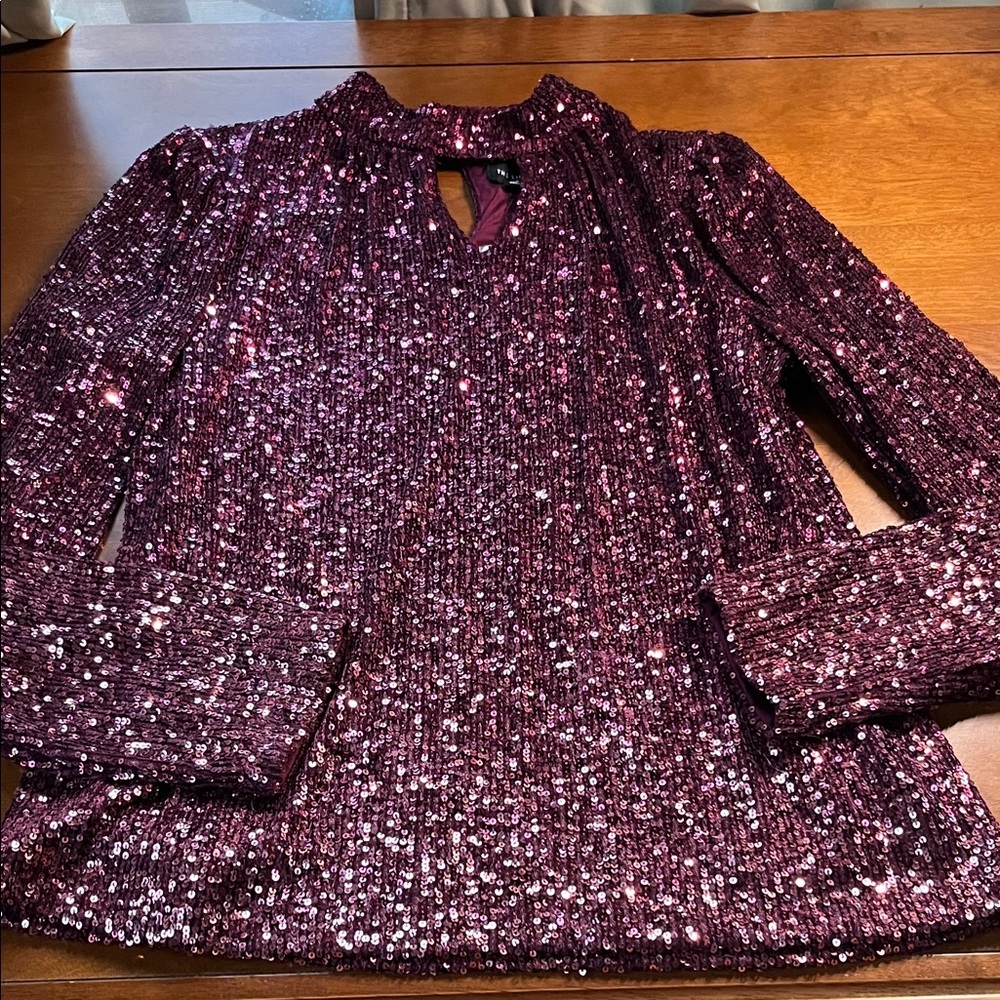 NWT The Limited Shimmering Purple Sequin Top